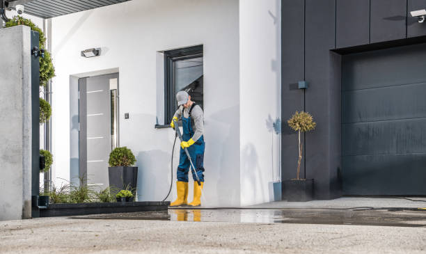 Best Pre-Holiday Cleaning  in Edgar, WI